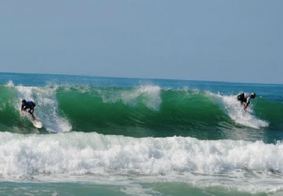 Oyat Ecole de Surf